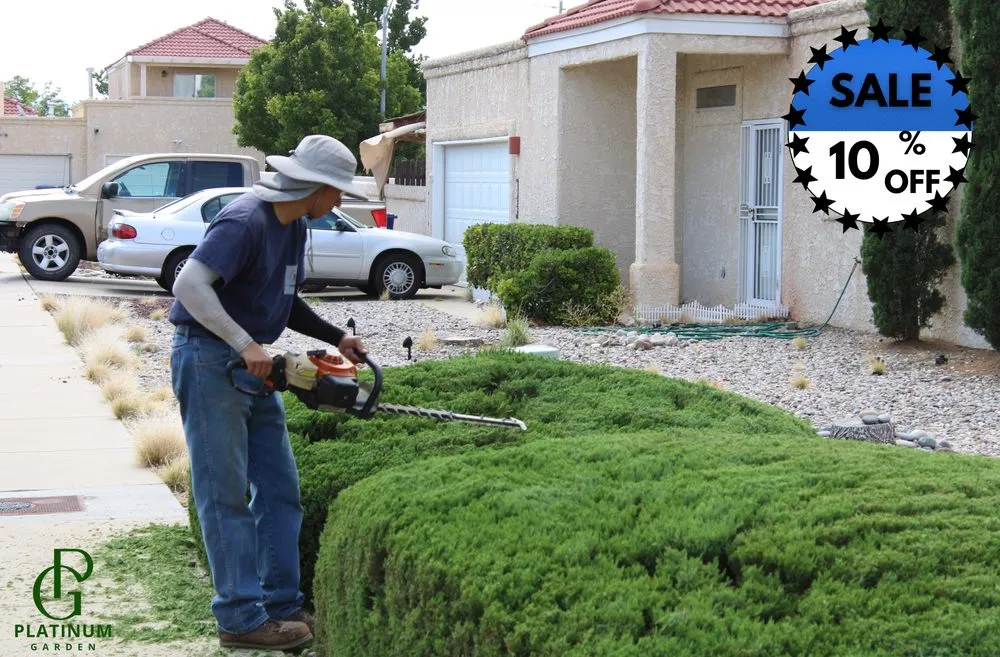 Reliable landscaping services in Albuquerque, NM - PlatinumGarden
