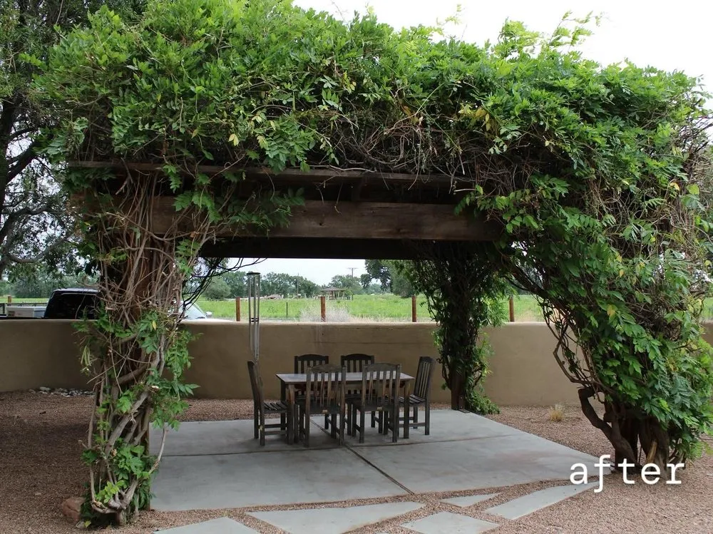 Local lawn care service near you in Albuquerque, NM by PlatinumGarden