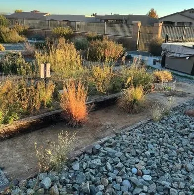 Local landscape installation with custom design in Albuquerque, NM by PlatinumGarden