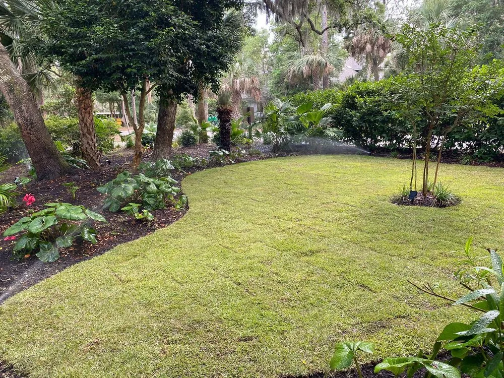 Reliable landscape installation in Hilton Head Island, SC by Platium Landscaping