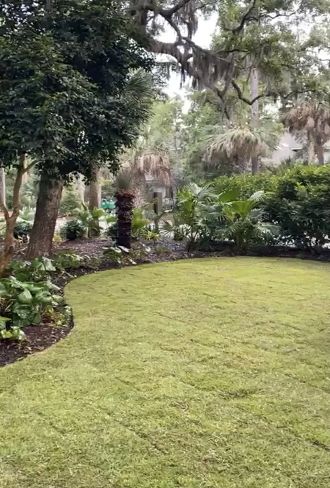 Professional yard maintenance for outdoor upgrades across Hilton Head Island, SC - Platium Landscaping