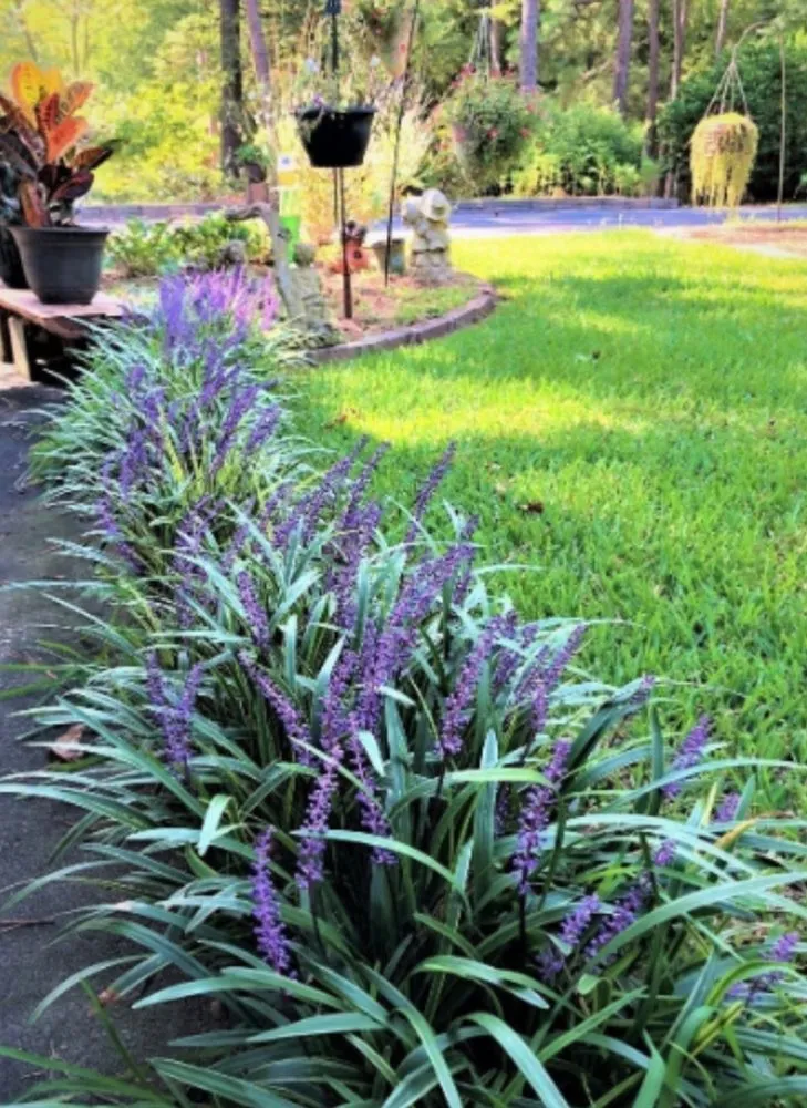 Trusted landscape installation in Decatur, AL by Platnium Tree Service