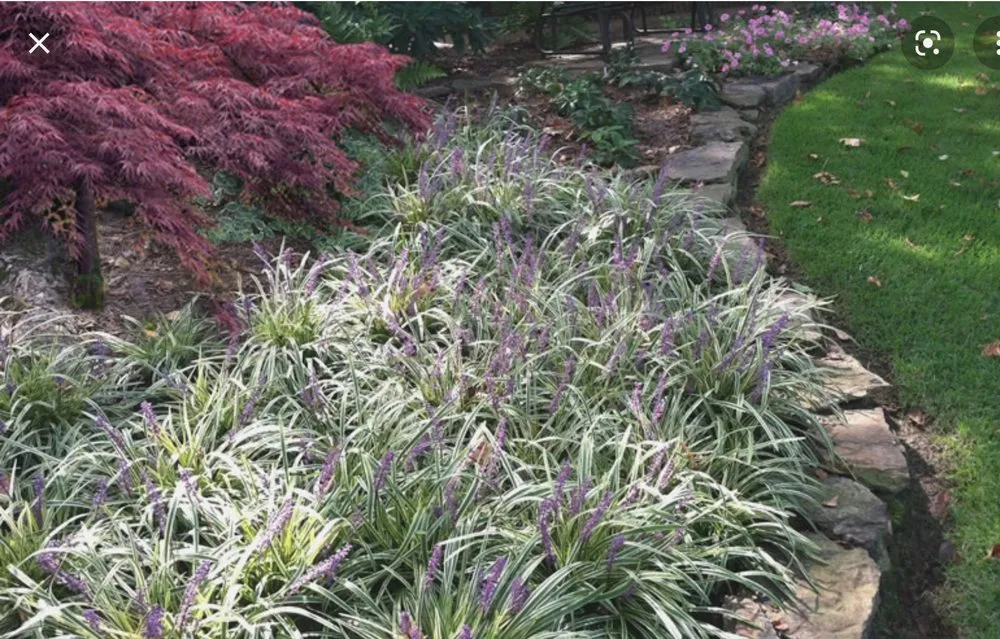 Top-rated landscaping services in Decatur, AL - Platnium Tree Service