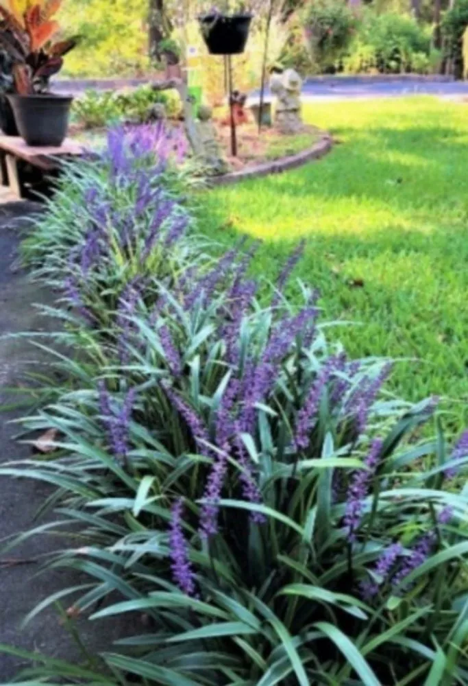 Affordable residential landscaping with custom design in Decatur, AL by Platnium Tree Service