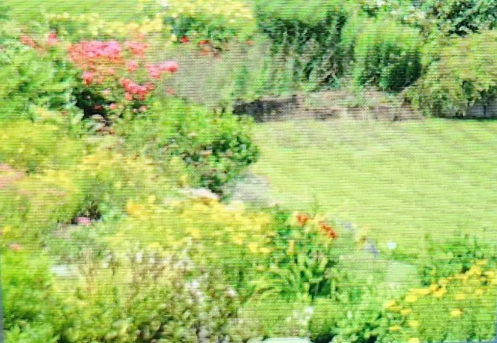 Expert landscaping services in Decatur, AL - Platnium Tree Service