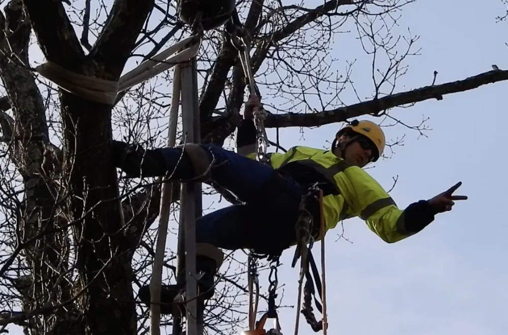 Trusted lawn mowing service in Frankford, DE by Platt & Company