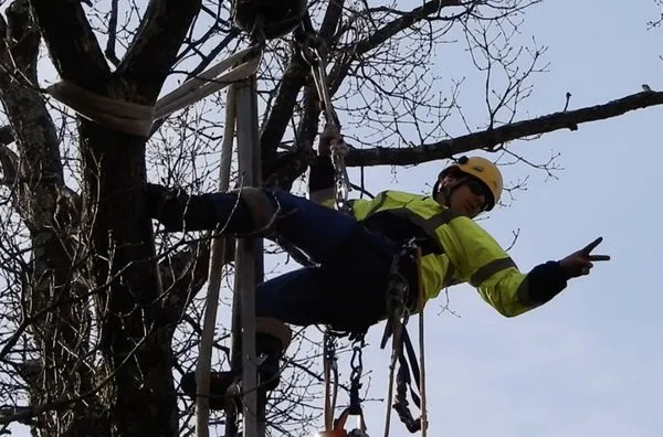 Platt & Company Logo