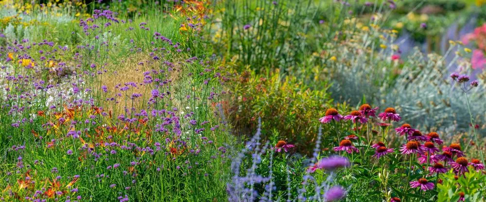 Trusted lawn care service experts serving Bloomingdale, IL - Platt Hill Nursery