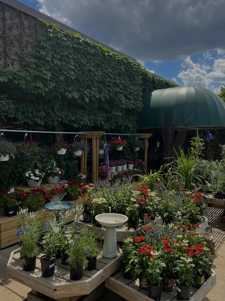 Affordable landscape design for homes across Bloomingdale, IL - Platt Hill Nursery