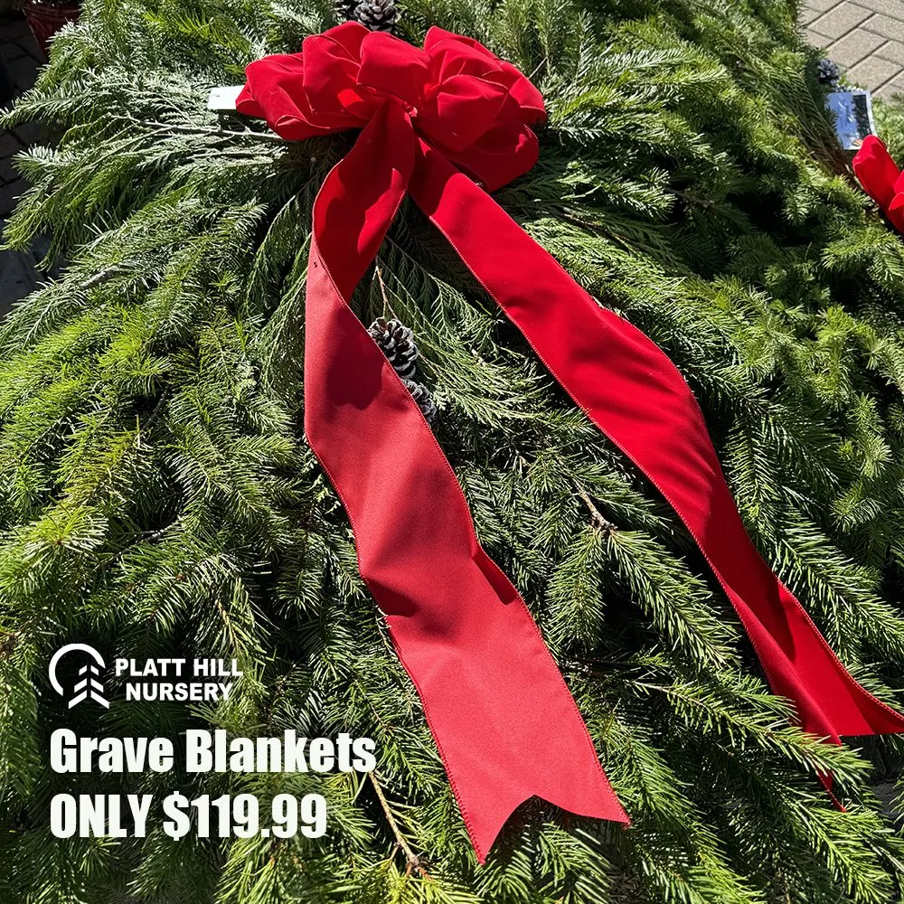 Local lawn mowing service for residential properties across Bloomingdale, IL - Platt Hill Nursery