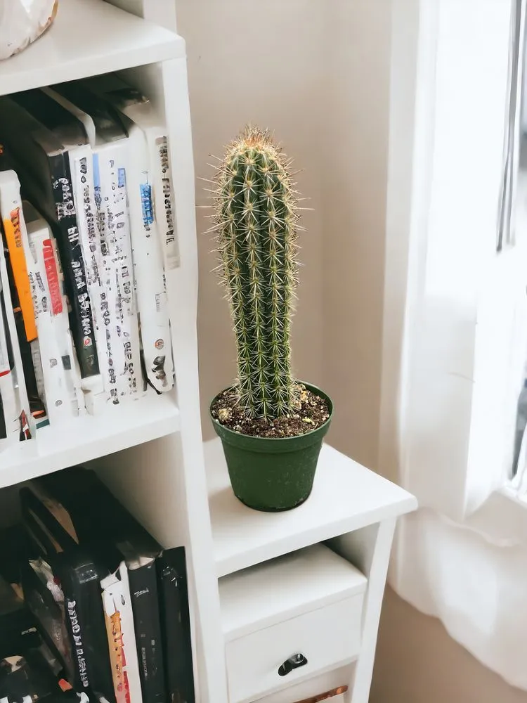 Top-rated outdoor landscaping in Carpentersville, IL - Platt Hill Nursery