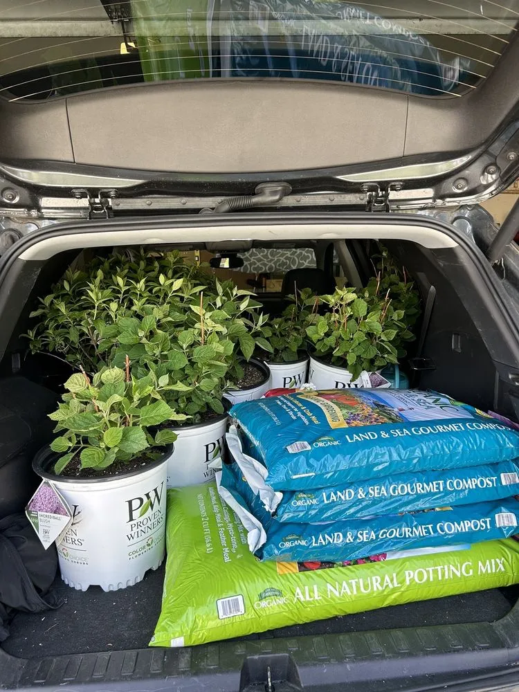 Professional lawn care service in Carpentersville, IL - Platt Hill Nursery