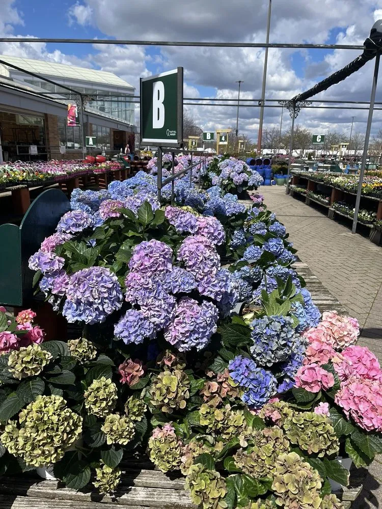 Top-rated garden landscaping with custom design in Carpentersville, IL by Platt Hill Nursery