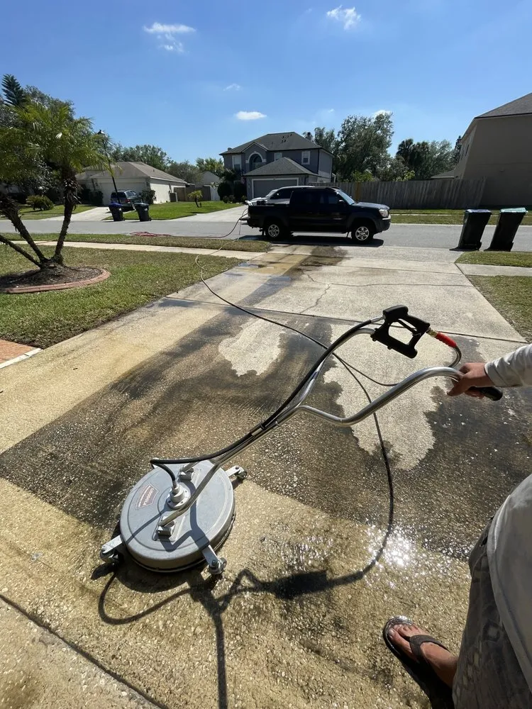 Trusted yard cleanup service in Orlando, FL - Platypus Outdoor Solutions