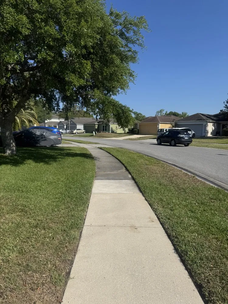 Professional residential landscaping for residential properties across Orlando, FL - Platypus Outdoor Solutions