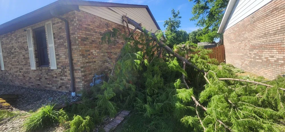 Custom landscape design in Caseyville, IL by Platz Design & Landscape