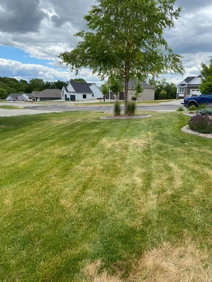 Local landscaping services in Rochester, MN - Platz Lawn & Services