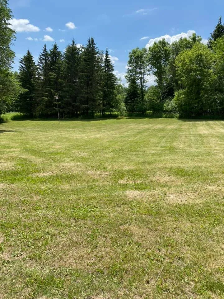 Top-rated residential landscaping experts serving Rochester, MN - Platz Lawn & Services