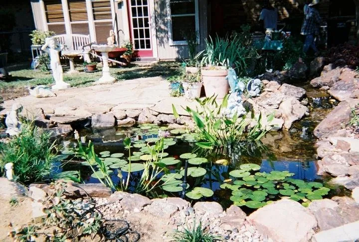 Top-rated landscaping services in Mansfield, TX by Play 'N' The Dirt Landscape