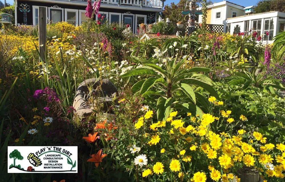 Custom lawn mowing service in Mansfield, TX by Play 'N' The Dirt Landscape