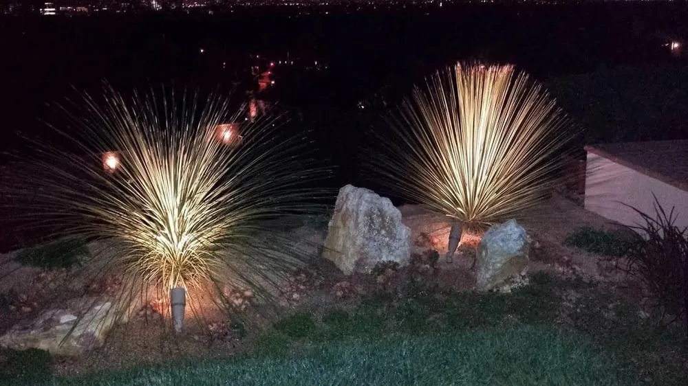 Top-rated garden landscaping experts serving Lake Forest, CA - Playa Landscaping