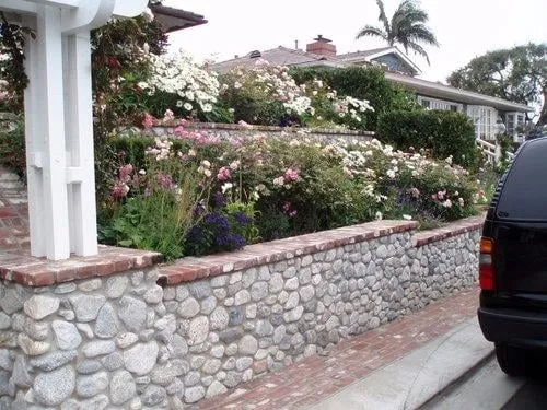 Expert yard cleanup service in Lake Forest, CA by Playa Landscaping