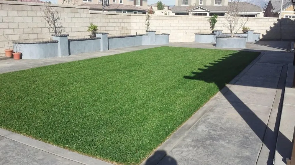 Reliable yard maintenance for homes in Lake Forest, CA by Playa Landscaping
