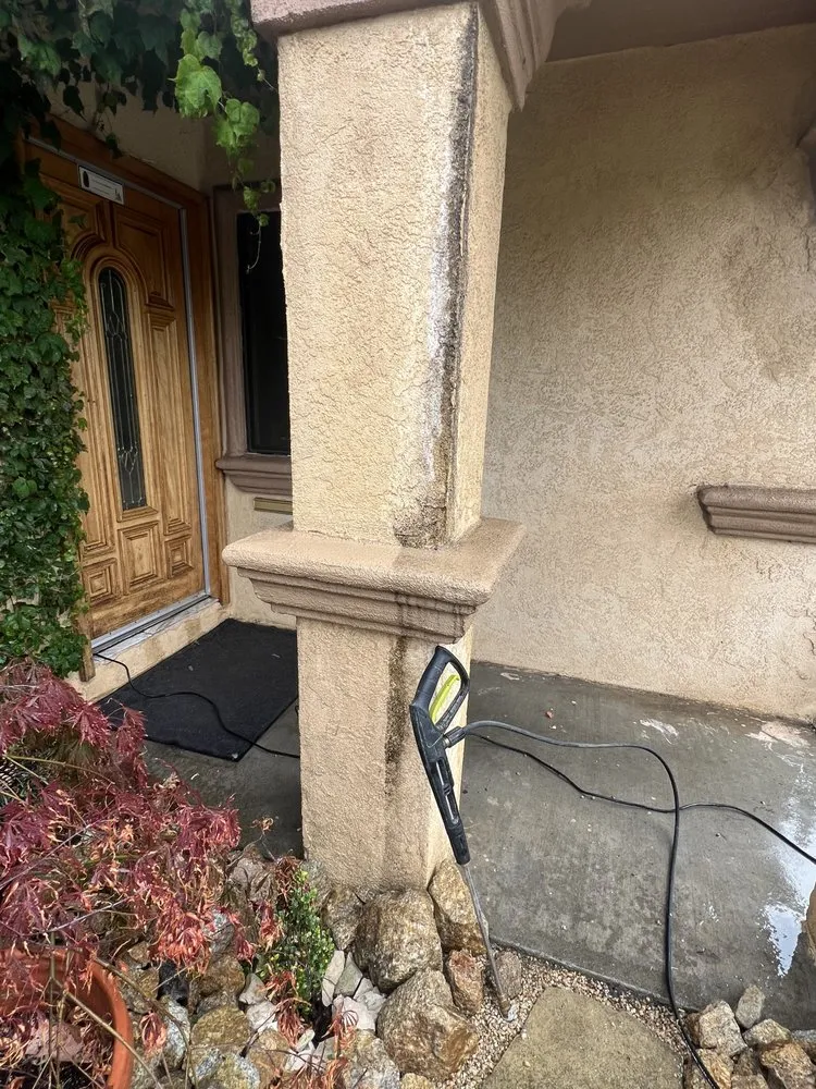 Professional garden landscaping in Salinas, CA - Playing Koi