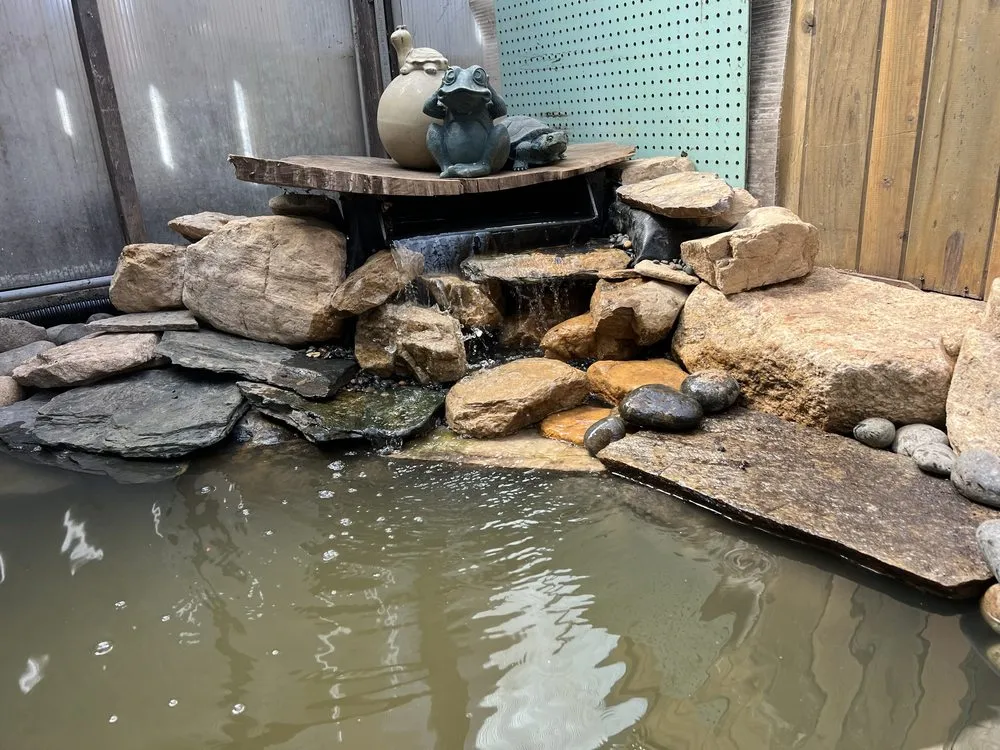 Trusted residential landscaping experts serving Salinas, CA - Playing Koi