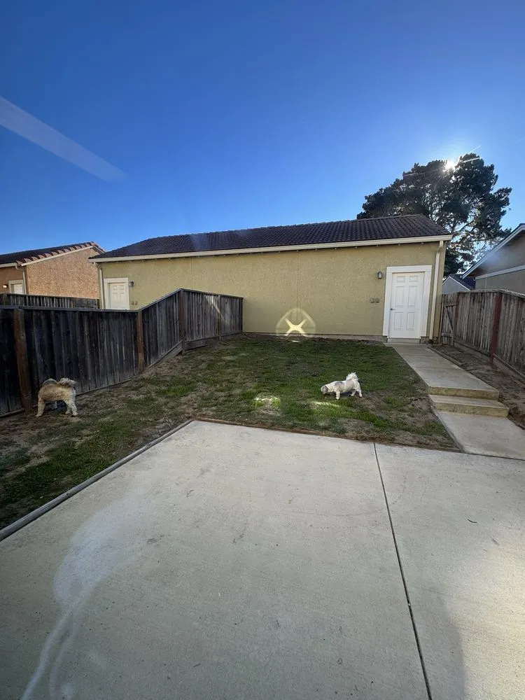 Local lawn care service for outdoor upgrades across Salinas, CA - Playing Koi