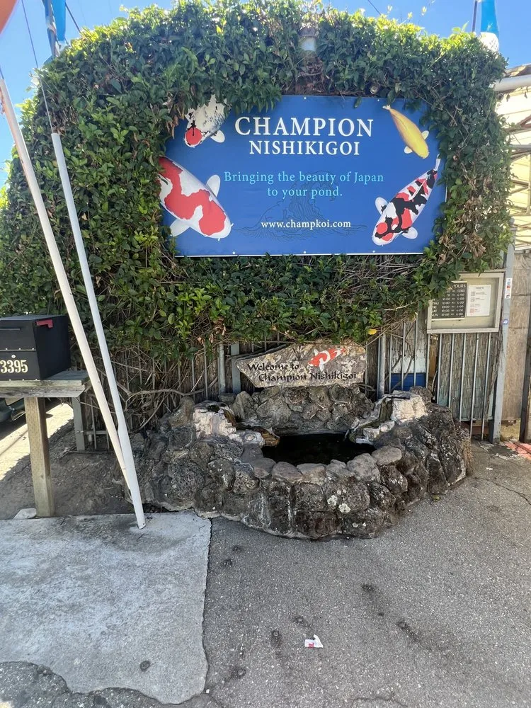 Local yard maintenance for homes in Salinas, CA by Playing Koi