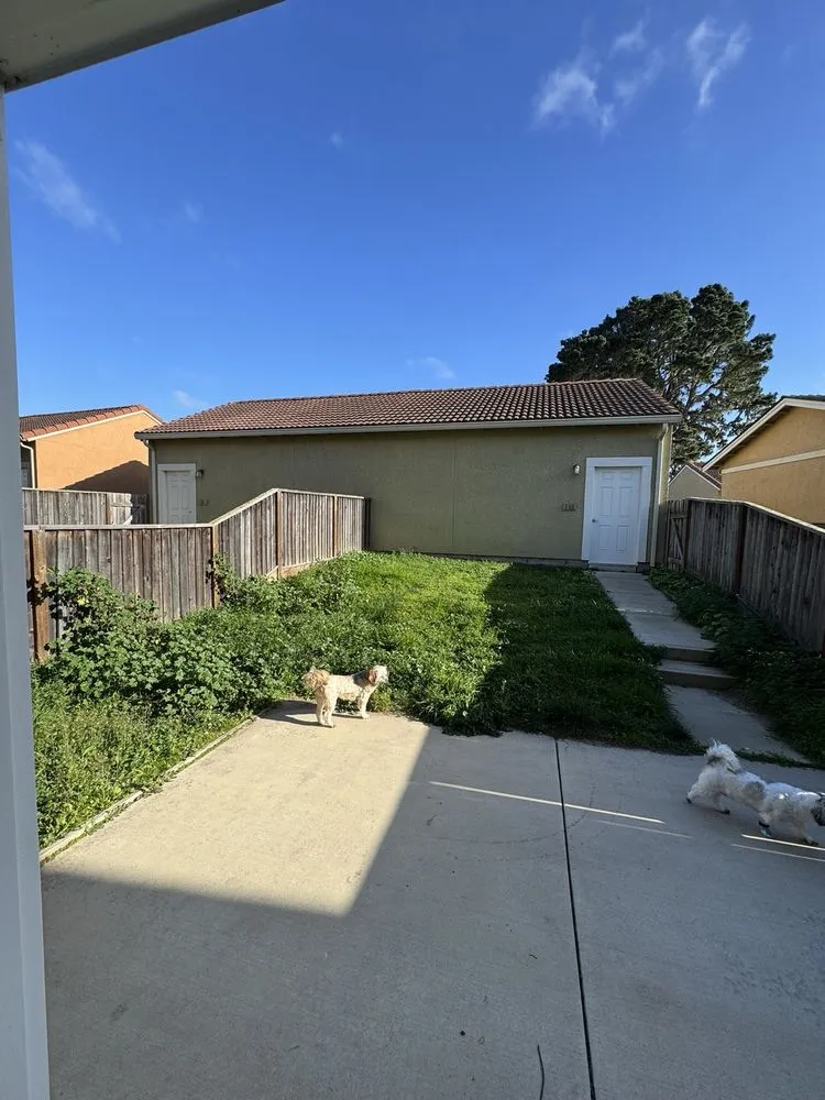 Trusted garden landscaping in Salinas, CA by Playing Koi