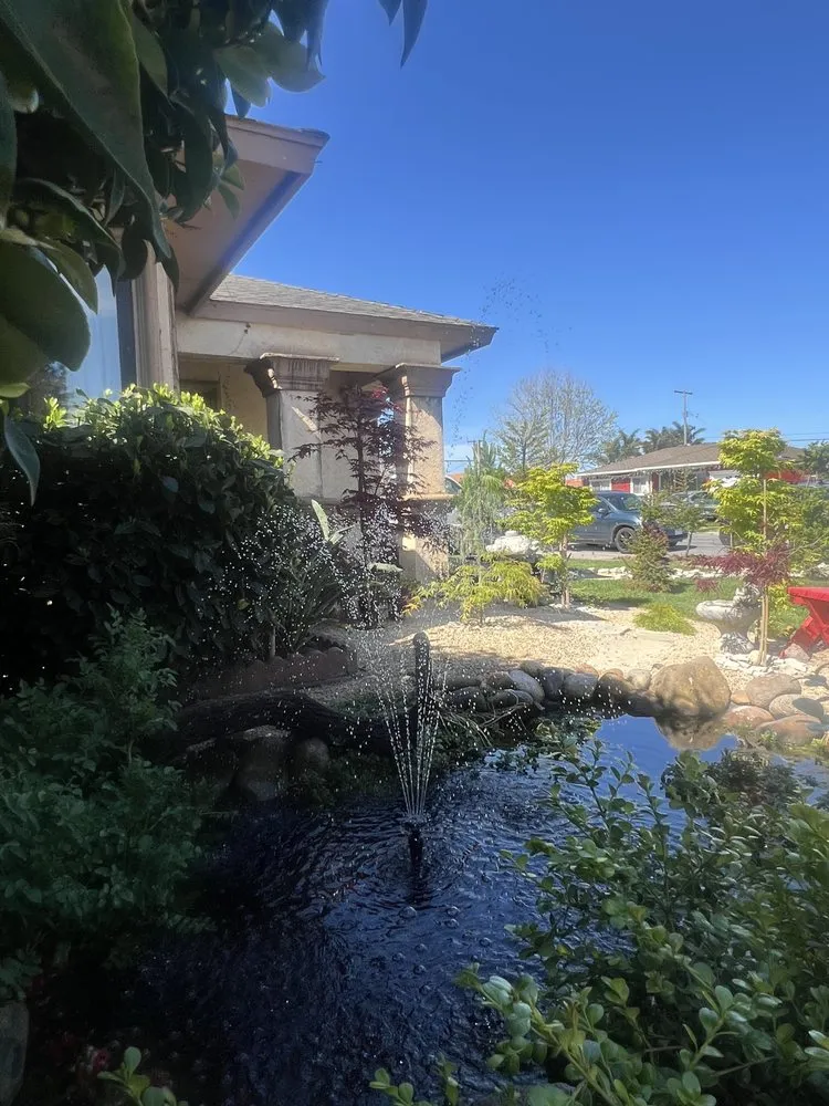 Custom outdoor landscaping in Salinas, CA - Playing Koi