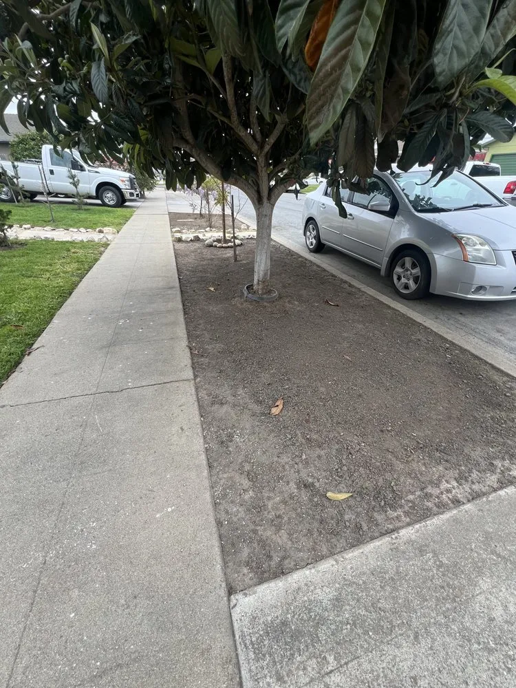 Top-rated outdoor landscaping for beautiful yards across Salinas, CA - Playing Koi