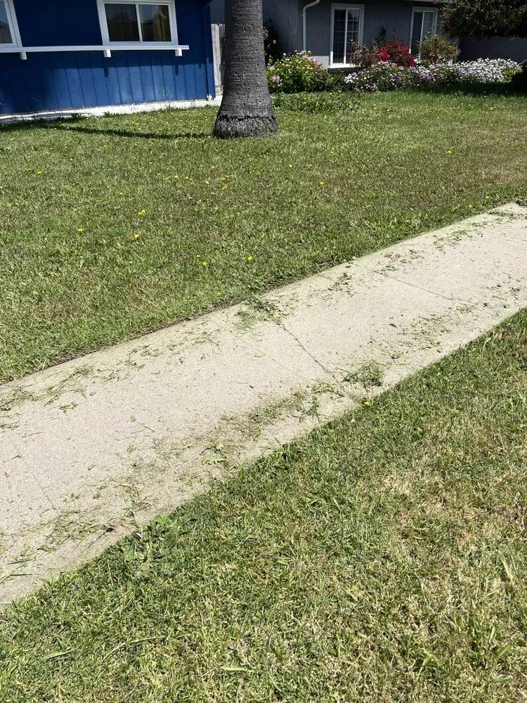 Custom lawn mowing service in Salinas, CA - Playing Koi