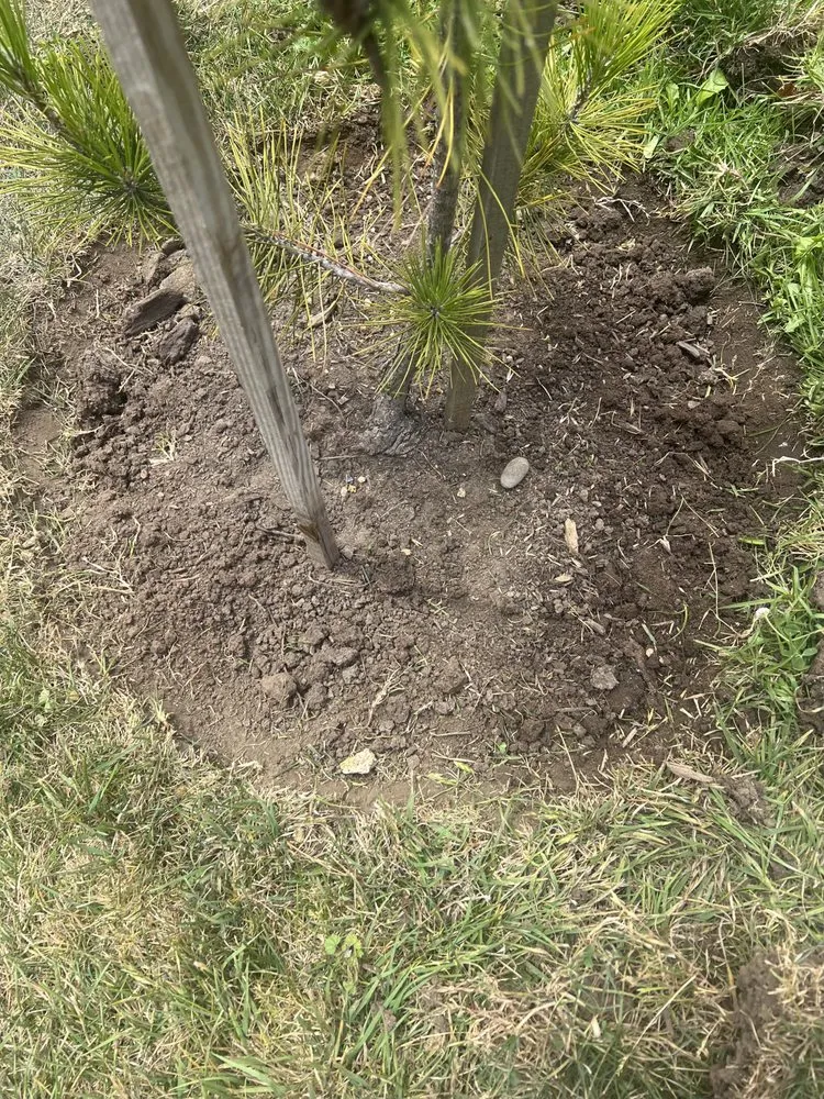 Professional yard maintenance in Salinas, CA by Playing Koi