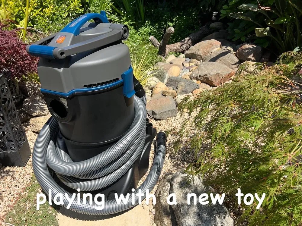 Trusted outdoor landscaping experts serving Salinas, CA - Playing Koi