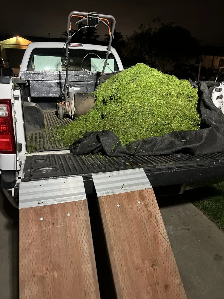 Trusted landscape design for outdoor upgrades in Salinas, CA by Playing Koi