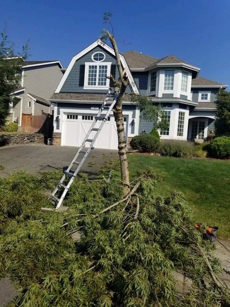 Custom residential landscaping for beautiful yards in Enumclaw, WA by PLC Landscaping