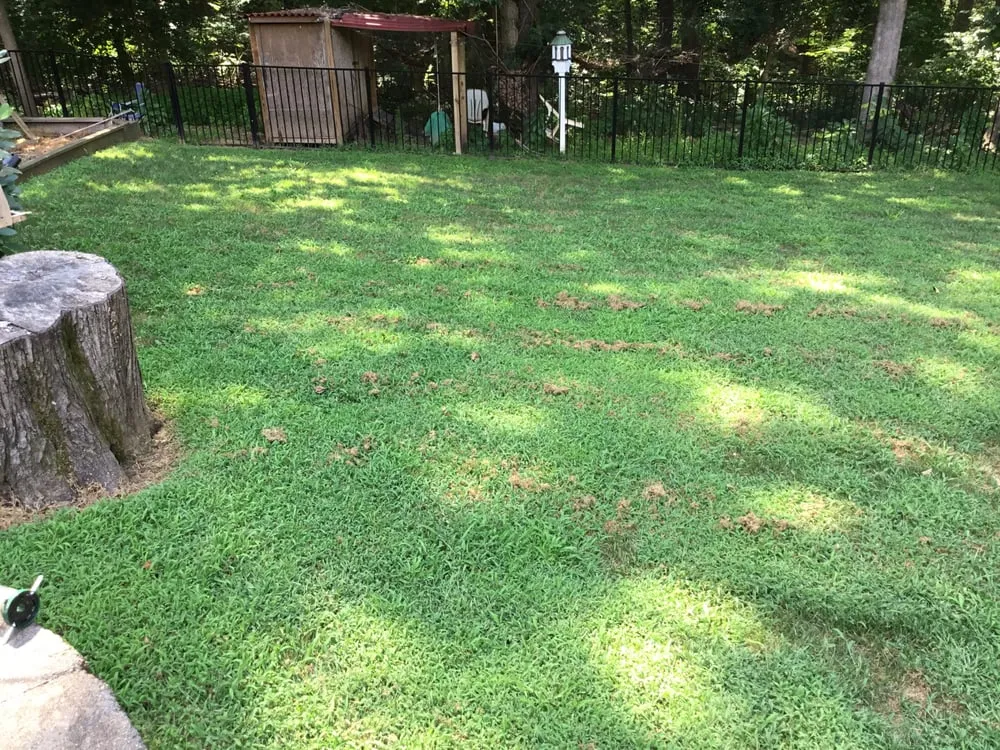 Affordable yard maintenance experts serving Durham, NC - Pleasant Green Grass