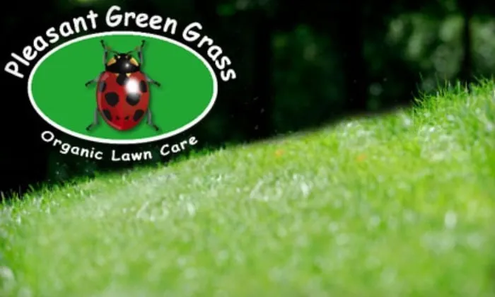 Top-rated lawn mowing service in Durham, NC - Pleasant Green Grass