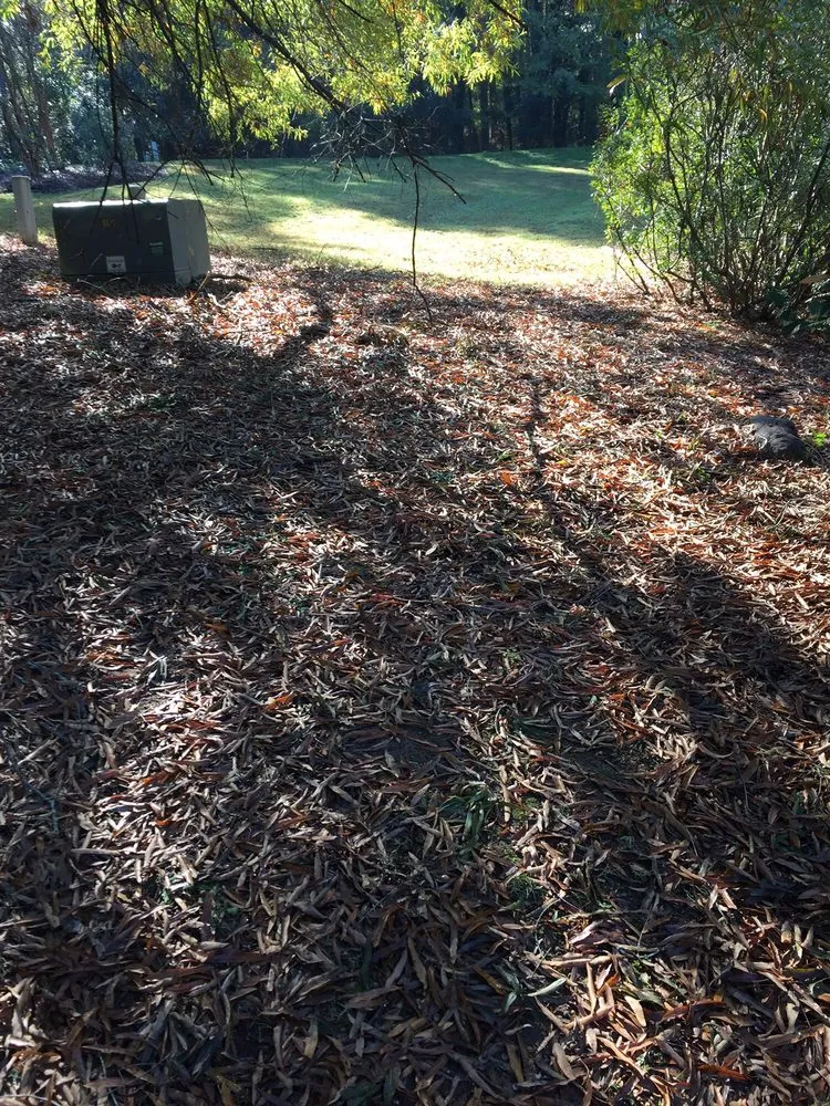 Expert lawn care service for beautiful yards in Durham, NC by Pleasant Green Grass