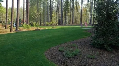 Trusted lawn mowing service in Durham, NC by Pleasant Green Grass