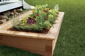 Reliable yard cleanup service in Durham, NC - Pleasant Green Grass