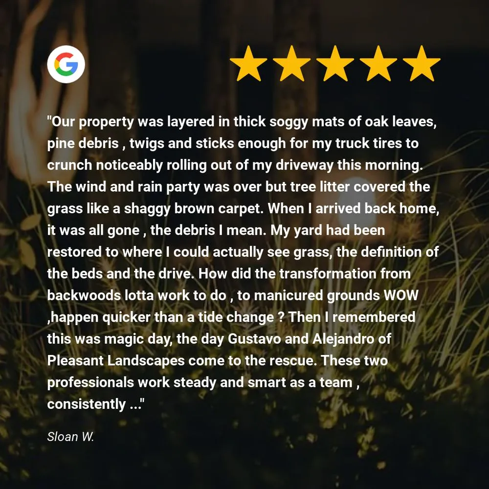 Top-rated lawn mowing service in Awendaw, SC - Pleasant Landscapes