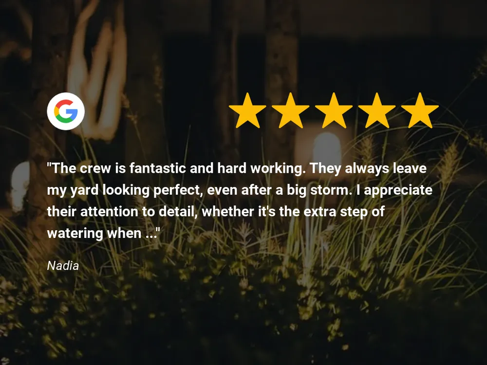 Top-rated lawn care service experts serving Awendaw, SC - Pleasant Landscapes