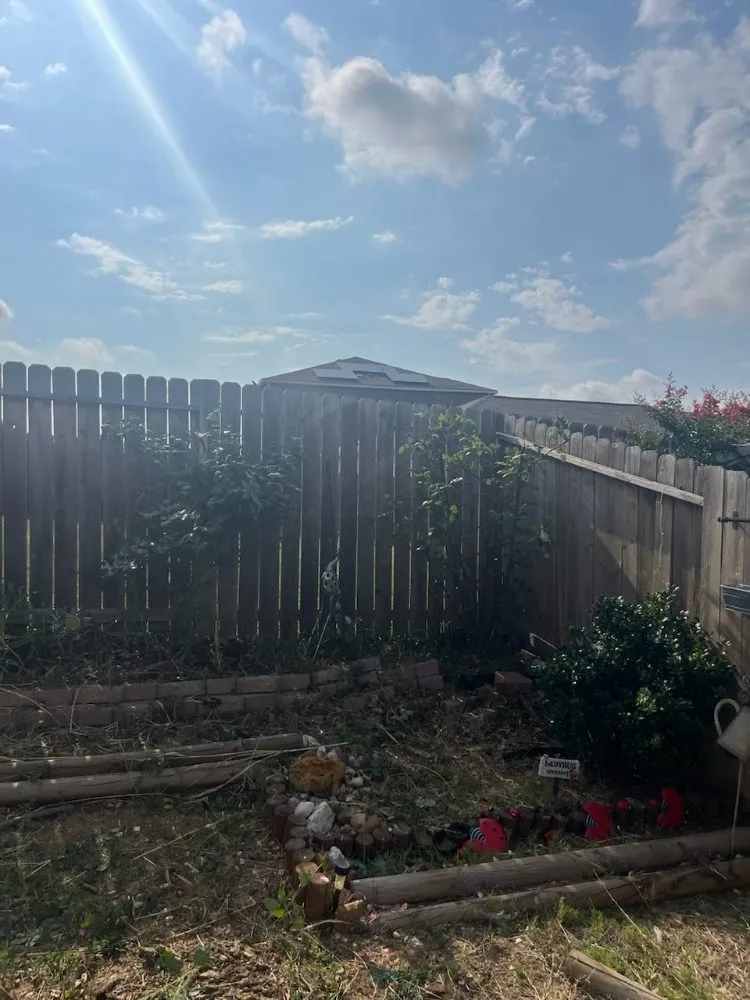 Affordable lawn care service for homes in Schertz, TX by Pleasant Lawn Care Services