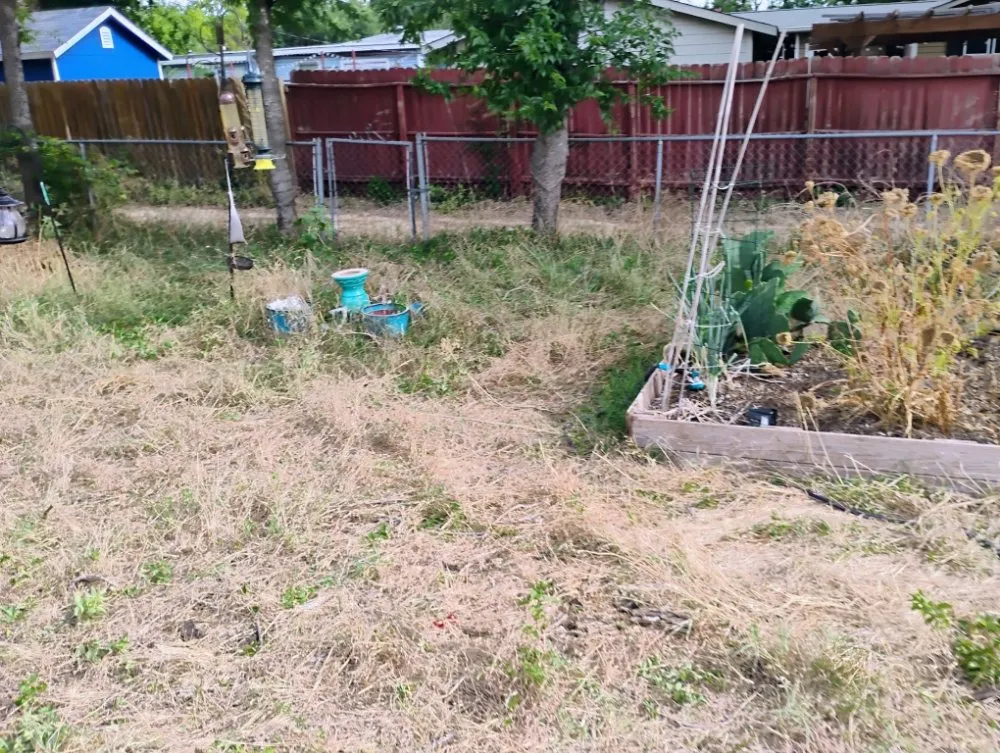 Reliable yard maintenance in Schertz, TX by Pleasant Lawn Care Services