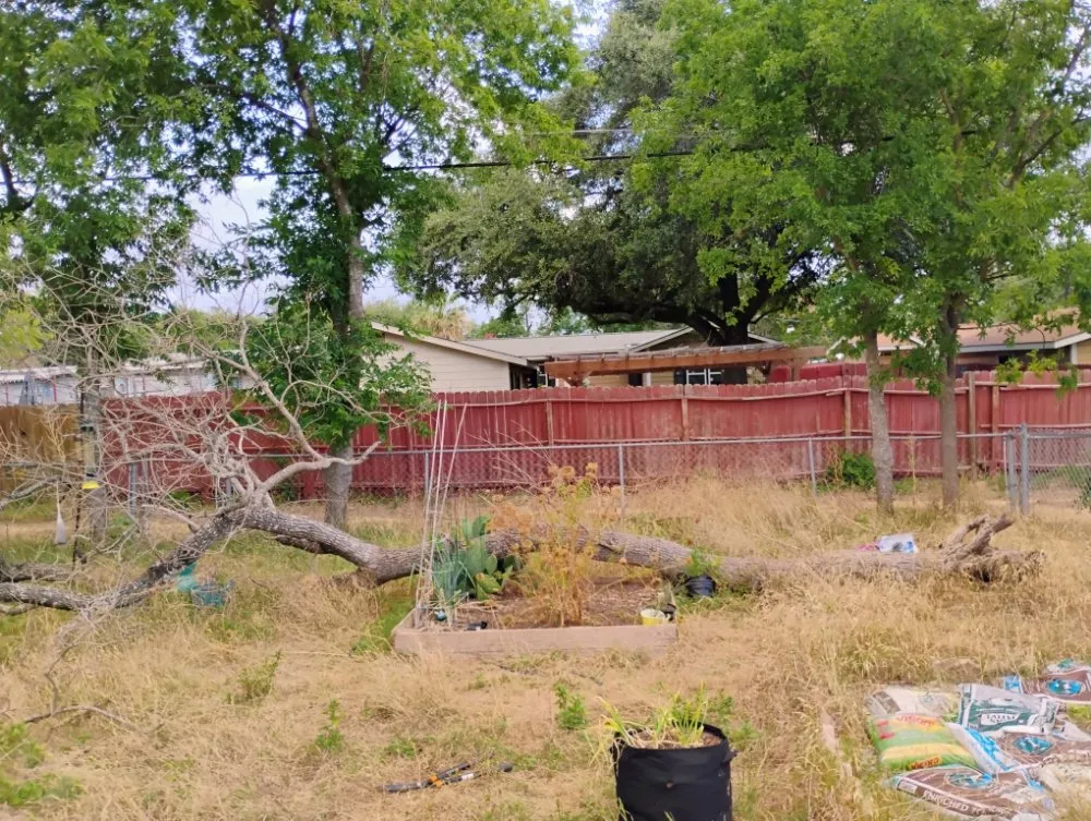 Reliable lawn mowing service in Schertz, TX by Pleasant Lawn Care Services