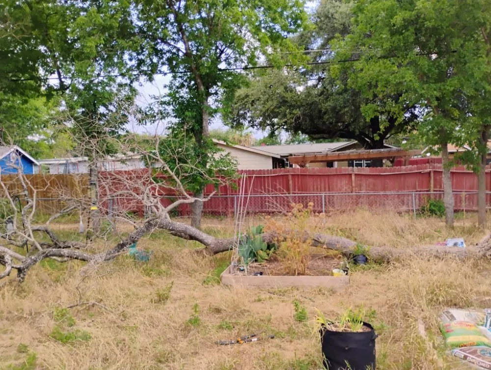 Top-rated residential landscaping for homes across Schertz, TX - Pleasant Lawn Care Services